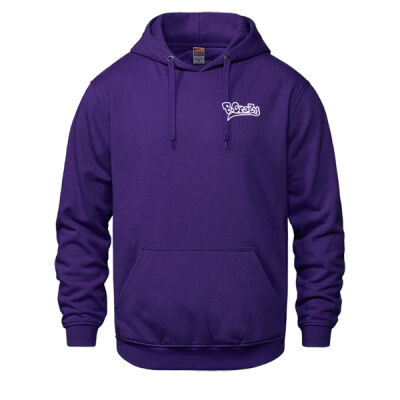 Alive For A Reason Hoodie   Thumbnail
