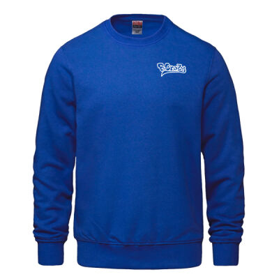 Alive For A Reason Crewneck  Thumbnail